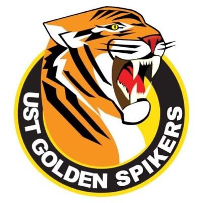 UST Golden Spikers Volleyball Official Merchandise (UAAP)