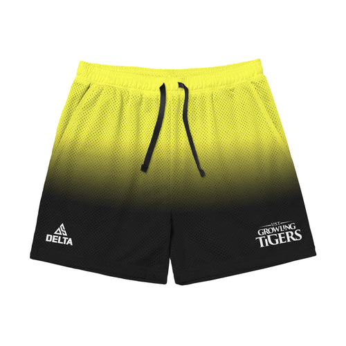 UST Mesh Shorts - Siete